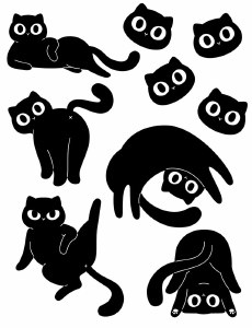 Black Cats 03