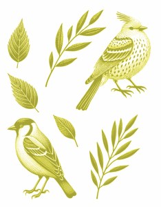 Yellow Birds 01 Decal