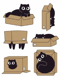 Cat in the Box Decals