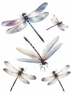 Dragonfly Decal Sheet 01