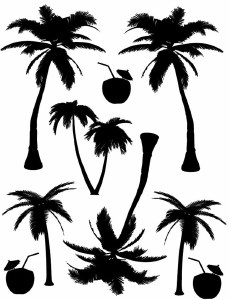 Palm Trees & Coconut Drink