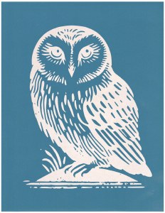 Little Owl Silkscreen Small