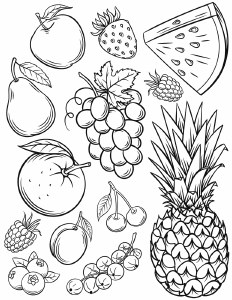 Fruit Decal 02 Outlines