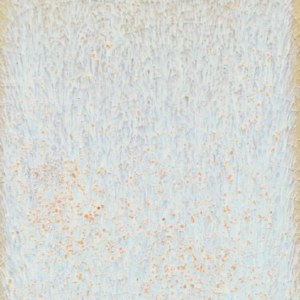 Coyote Glaze Star Dust Pint