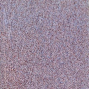 Coyote Glaze Pixie Wings Pint