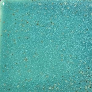Coyote Glaze Mermaid Cove Pint