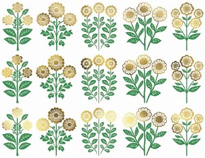 2 Color Zinnias
