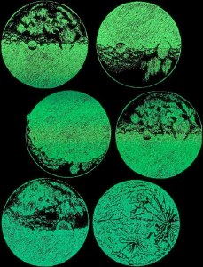 Glow in the Dark Moons Etch