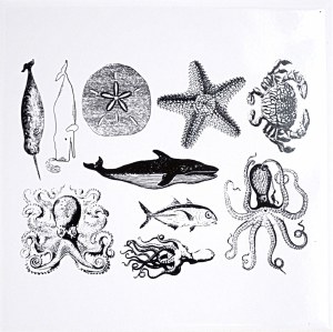 Sea Life Decals Black