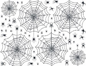 Spider Web Black