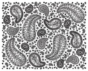 Paisley Full Silk Screen