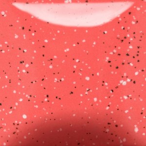 Speckled Cutie Pie Coral 16 oz