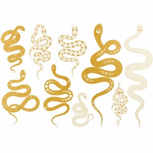 Gold Luster, Magic Snake