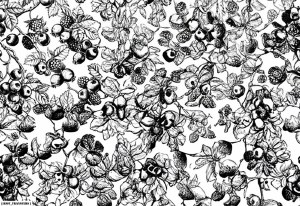 Berries Underglaze Decal