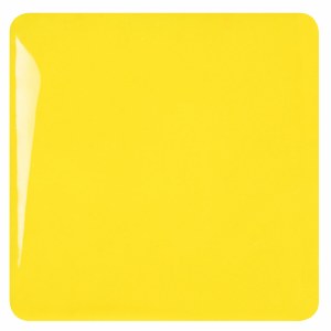 Studio Plus Bumblebee Pint