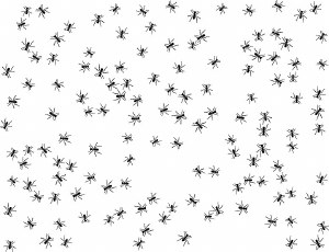 Ants Cone 6 Decal