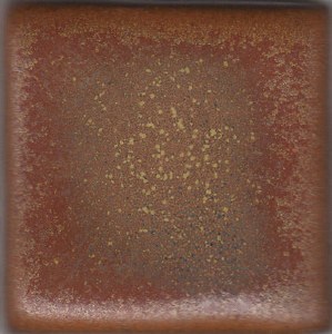 Autumn Spice Slow-Cool Pint
