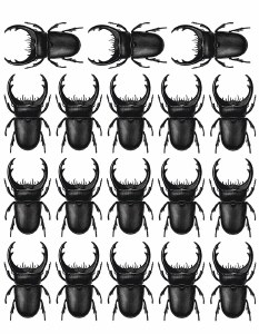 Black Beetle 01 Decal