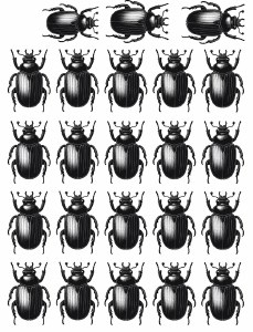 Black Beatle 02 Decal
