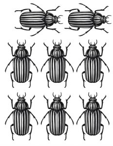 Black Beetle 04 Decal
