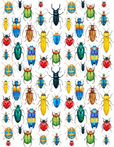 Overglaze Decal, Rainbow Bugs
