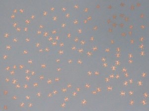 Copper Luster Decal, Ants