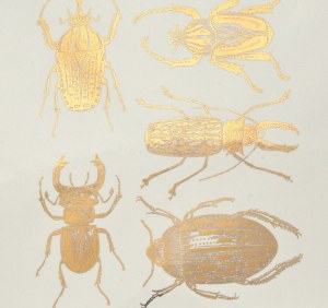 Copper Luster Decal, Scarab