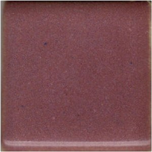 Coyote Sweet Plum Pint