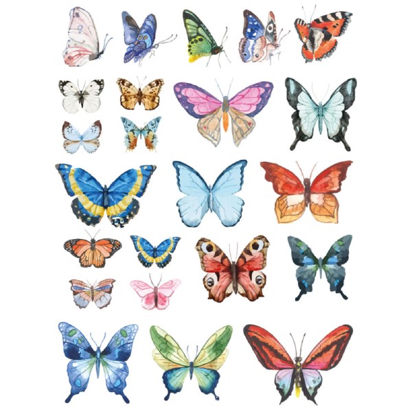 Overglaze Decal-Butterfly - The Ceramic Shop