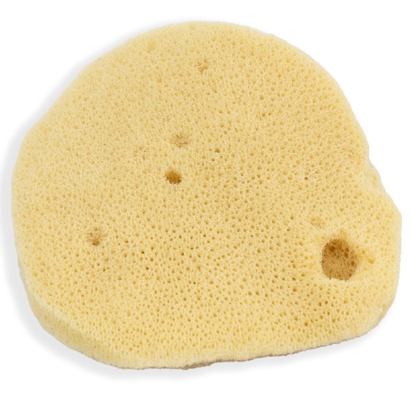 Elephant Ear Sponge Small