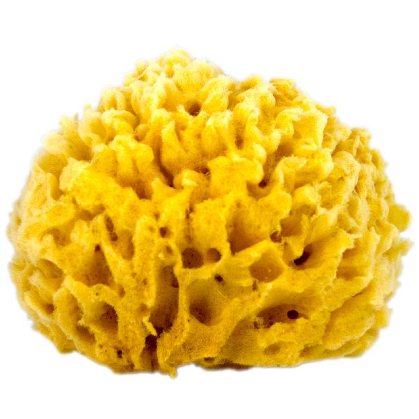  ROYAL BRUSH Natural Ocean Artist Sponges, 3 Silk/1 Jumbo, 4/pkg  : Beauty & Personal Care