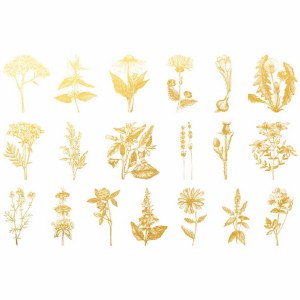 Gold Luster, Flower 2