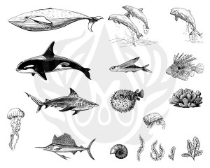 Sea Life 2 Silk Screen