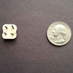 Star Stilt 9-4 - Gross (144)