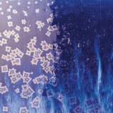 CO-24 Blue Starlight Pint