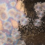 CO-3 Event Horizon Pint