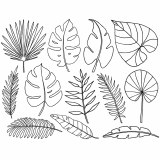 Tropical Leaves Decal Black