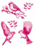 Pink Birds 05 Decal