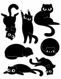 Black Cats 02