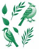 Green Birds 01 Decal