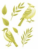 Yellow Birds 01 Decal
