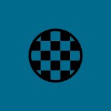 Flexi-Bat Checkered