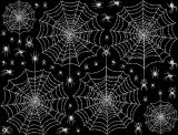 Spider Web Mica White
