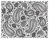 Paisley Full Silk Screen