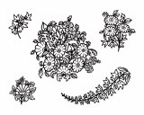 Bellfleur Silk Screen