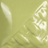 Sage Gloss Pint