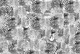 Additional picture of Croc Skin Underglaze Decal