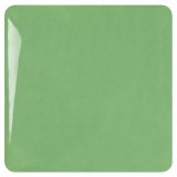 Studio Plus Soft Jade Pint