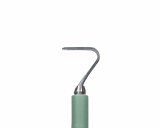 The Seven Tool Moss