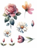 Watercolor Flowers 01